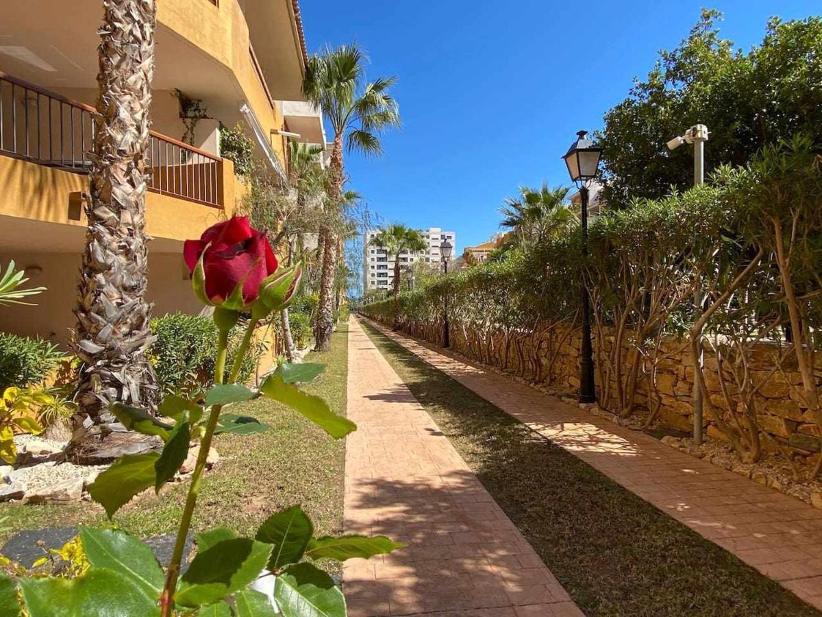 Acogedor Apartamento Al Lado De La Playa Alicante Buitenkant foto